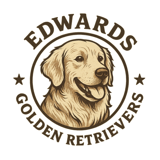 website logo