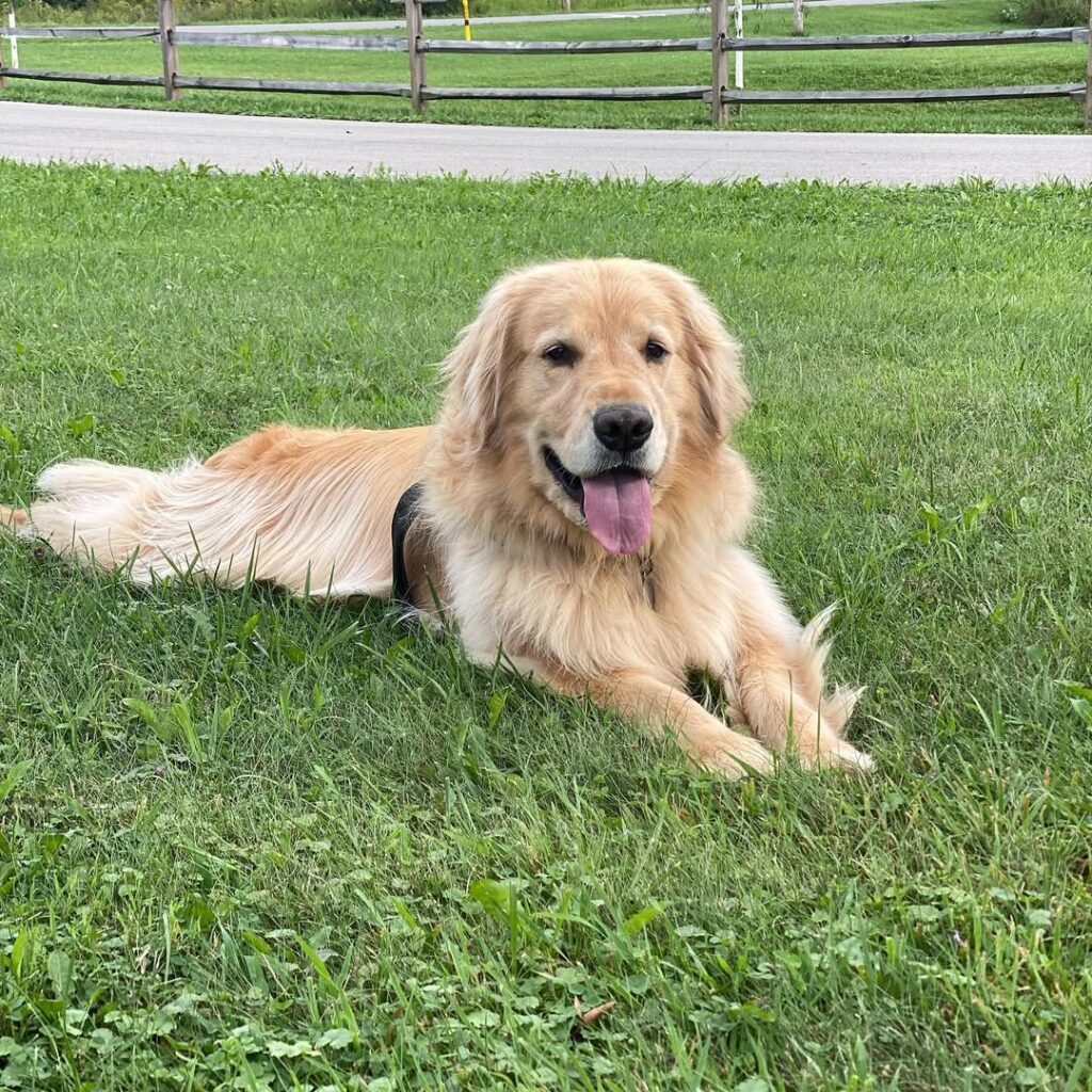 easton the golden 20250815 0010